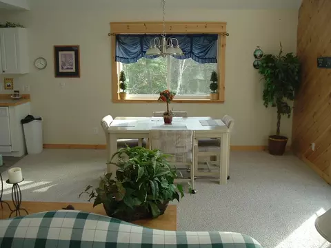 15612 Lakeview Dr, Wolverine, MI 49799 photo 3