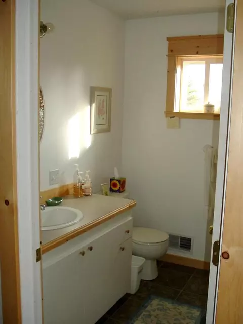 15612 Lakeview Dr, Wolverine, MI 49799 photo 17