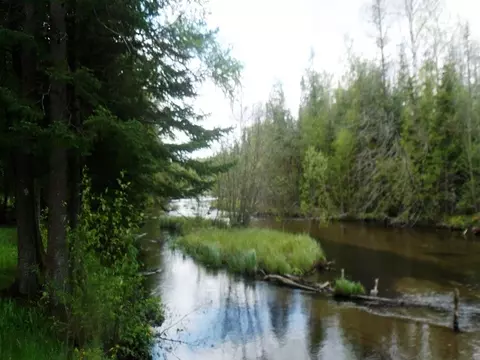 5885 Chickasaw Trl, Frederic, MI 49733 photo 10