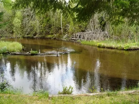 5885 Chickasaw Trl, Frederic, MI 49733 photo 12