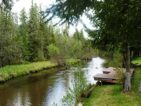 5885 Chickasaw Trl, Frederic, MI 49733 photo 11