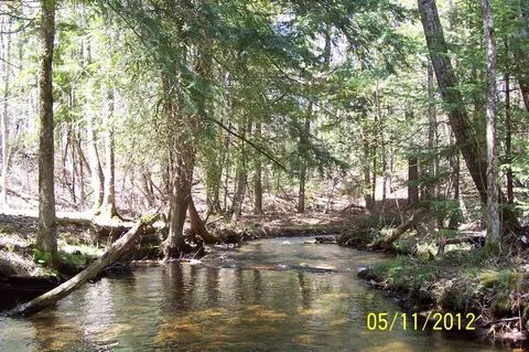 4475 Hatch Rd, Indian River, MI 49749 photo 7