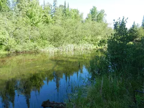 6875 Frederic Street Frederic Mi 49733 St, Frederic, MI 49733 photo 5