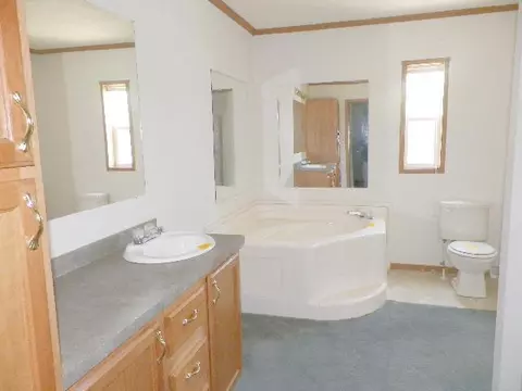 14843 Elk Trl, Wolverine, MI 49799 photo 13