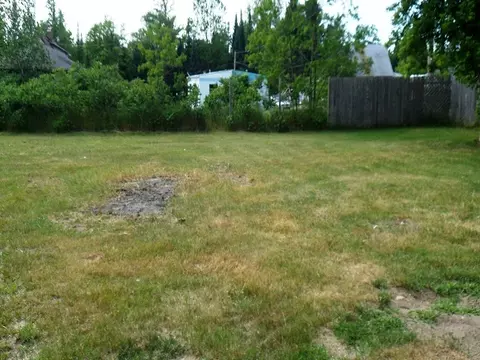 6441 Center St, Frederic, MI 49733 photo 8