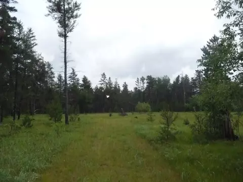 2428 Shaw Park Rd, Grayling, MI 49738 photo 23