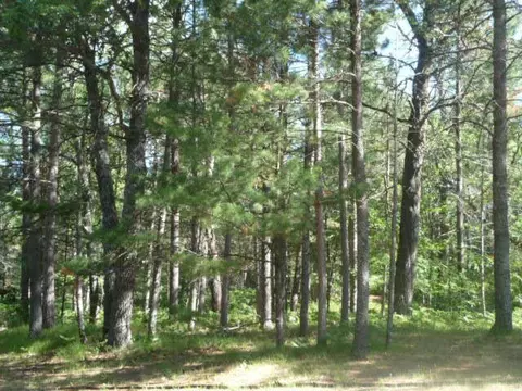 2428 Shaw Park Rd, Grayling, MI 49738 photo 4