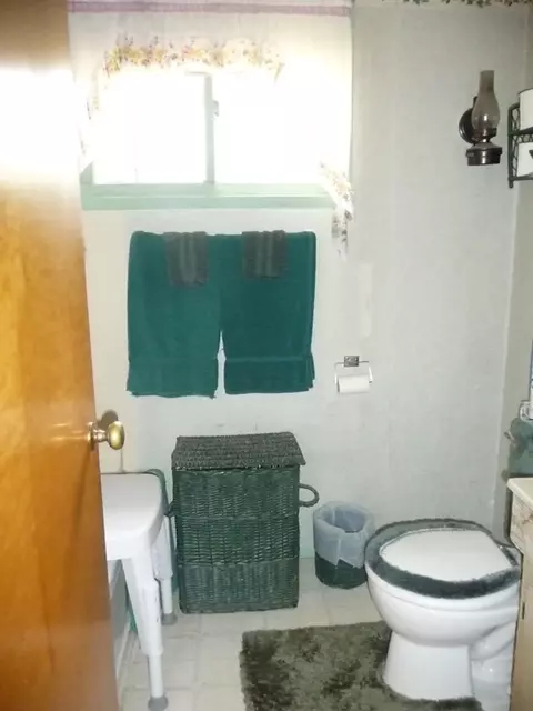 2428 Shaw Park Rd, Grayling, MI 49738 photo 22