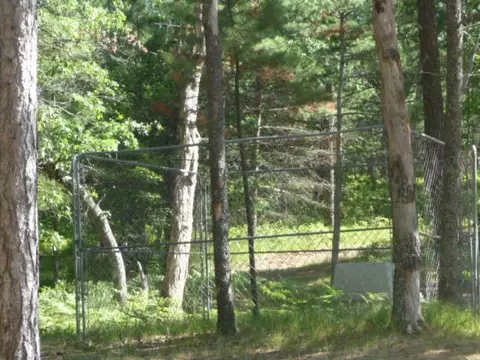 2428 Shaw Park Rd, Grayling, MI 49738 photo 14