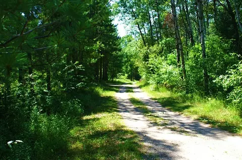 1934 W Nighthawk Ln, Grayling, MI 49738 photo 3