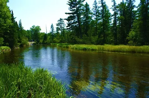 1934 W Nighthawk Ln, Grayling, MI 49738 photo 7