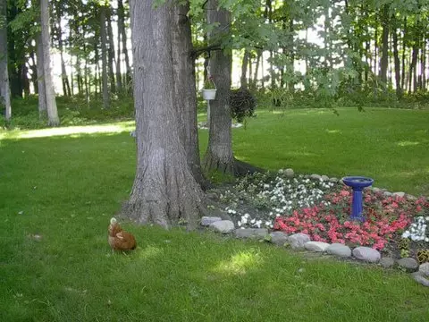7151 Pheasant Run, Cheboygan, MI 49721 photo 14