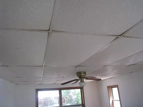 8044 Maple St, Vanderbilt, MI 49795 photo 14