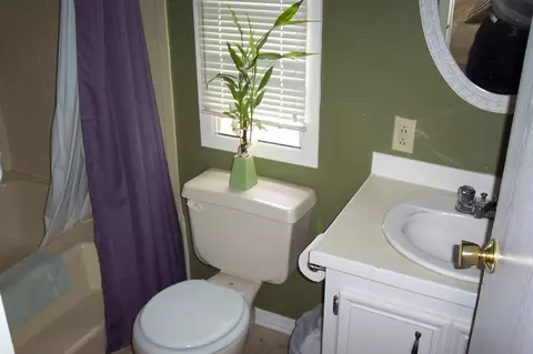 312 Zipf Street Pellston Mi 49769 St, Pellston, MI 49769 photo 7