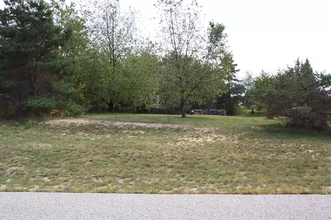312 Zipf Street Pellston Mi 49769 St, Pellston, MI 49769 photo 8