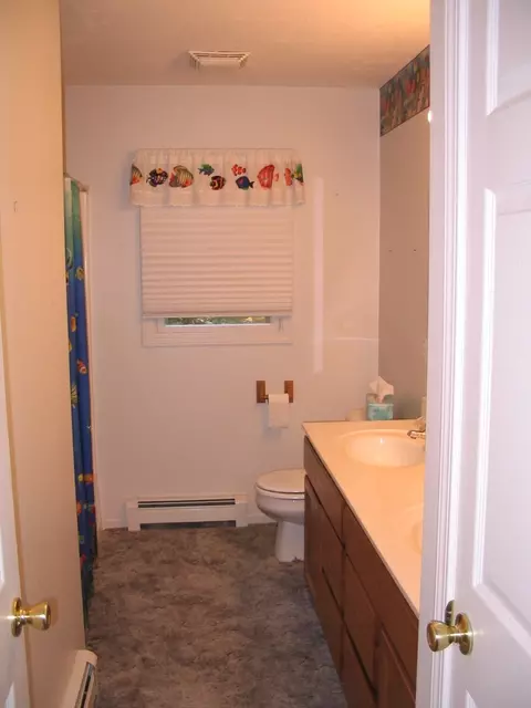 3817 E Branch Rd, Grayling, MI 49738 photo 14