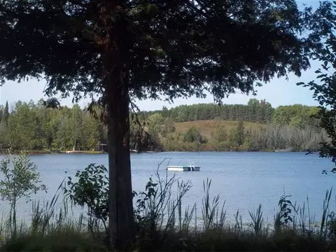 3988 Lance Lake Rd, Wolverine, MI 49799 photo 3
