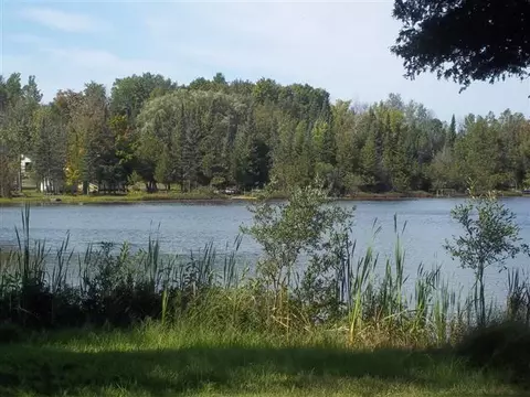 3988 Lance Lake Rd, Wolverine, MI 49799 photo 4