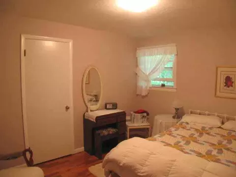 869 Thumb Lake Rd, Vanderbilt, MI 49795 photo 8