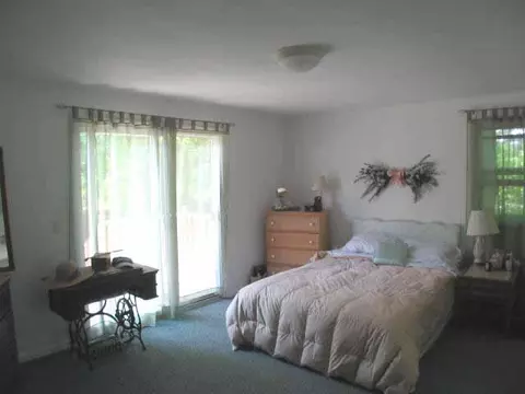 869 Thumb Lake Rd, Vanderbilt, MI 49795 photo 7