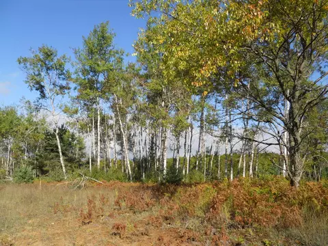 13100 Congdon Rd, Wolverine, MI 49799 photo 29