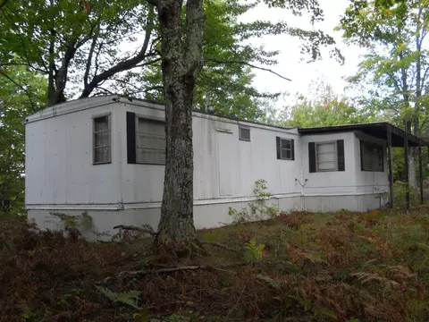 13100 Congdon Rd, Wolverine, MI 49799 photo 4