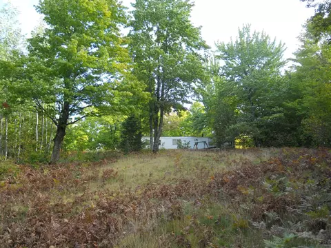 13100 Congdon Rd, Wolverine, MI 49799 photo 36