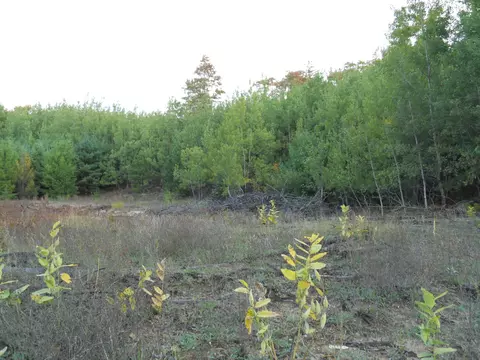 13100 Congdon Rd, Wolverine, MI 49799 photo 26