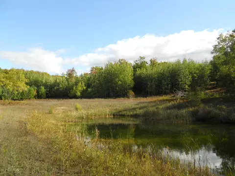 13100 Congdon Rd, Wolverine, MI 49799 photo 2