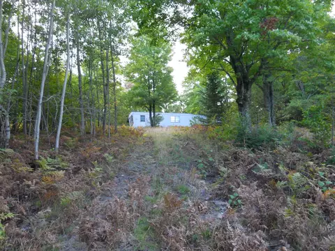 13100 Congdon Rd, Wolverine, MI 49799 photo 24