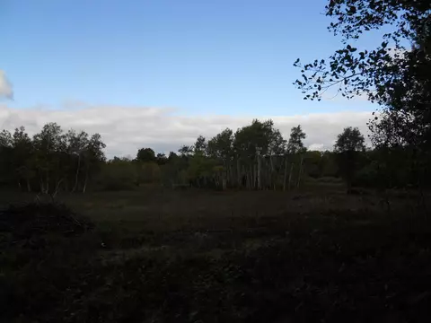 13100 Congdon Rd, Wolverine, MI 49799 photo 25