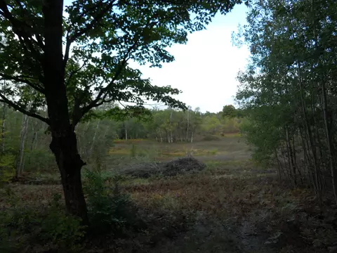 13100 Congdon Rd, Wolverine, MI 49799 photo 23