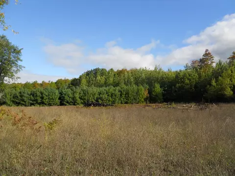 13100 Congdon Rd, Wolverine, MI 49799 photo 30