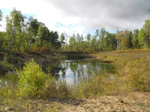 13100 Congdon Rd, Wolverine, MI 49799 photo 31