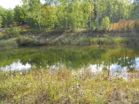 13100 Congdon Rd, Wolverine, MI 49799 photo 32