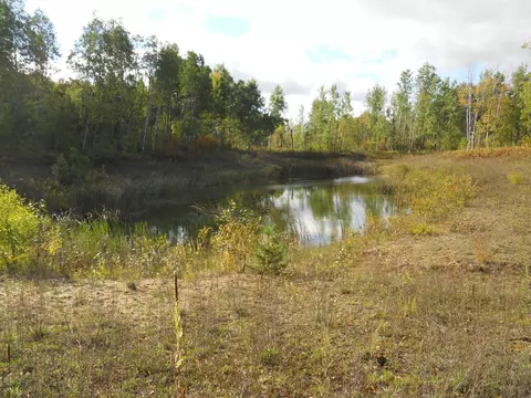 13100 Congdon Rd, Wolverine, MI 49799 photo 28