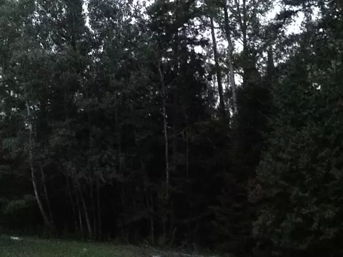 1800 E Hubert Road Spruce Mi 48762 Rd, Spruce, MI 48762 photo 19