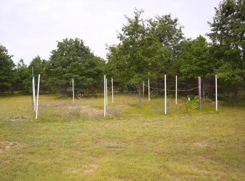 3305 E North Down River Rd, Grayling, MI 49738 photo 7