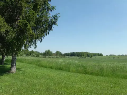 8109 Wegmeyer Road Herron Mi 49744 Rd, Herron, MI 49744 photo 3