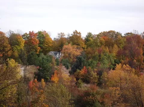 5201 Dunham Road Wolverine Mi 49799 Rd, Wolverine, MI 49799 photo 4