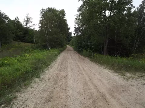 5201 Dunham Road Wolverine Mi 49799 Rd, Wolverine, MI 49799 photo 3