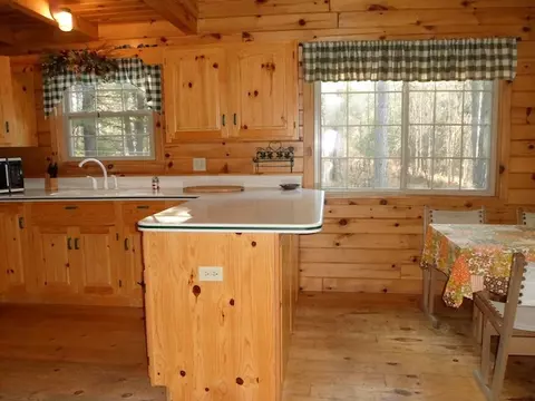 2917 Cedar Run Rd, Mio, MI 48647 photo 7