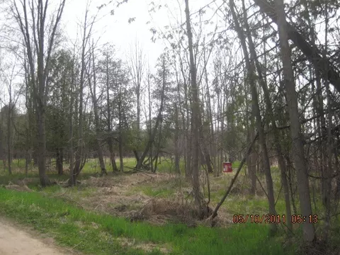 5432 S Cedar River Rd, Gladwin, MI 48624 photo 3