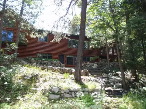 988 Norway Pine Dr, Grayling, MI 49738 photo 20