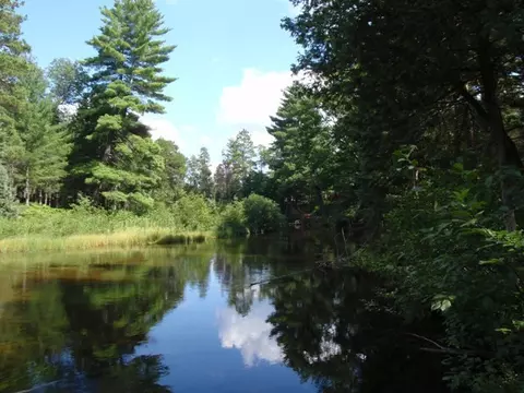 988 Norway Pine Dr, Grayling, MI 49738 photo 19