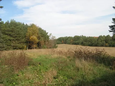 3862 Webb Rd, Wolverine, MI 49799 photo 10
