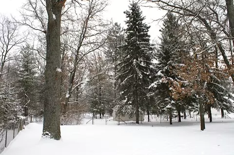 1795 Ole Dam Road Grayling Mi 49738 Rd, Grayling, MI 49738 photo 22