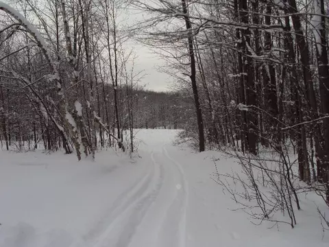3190 Jensen Rd, Petoskey, MI 49770 photo 16