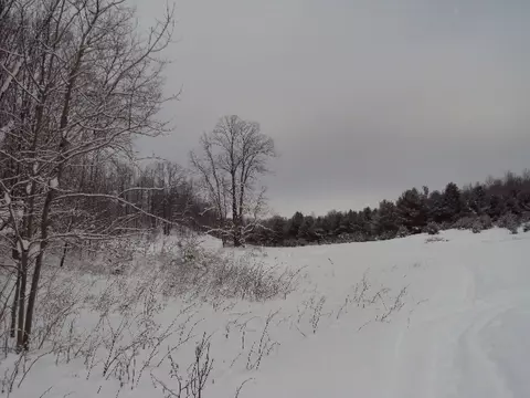 3190 Jensen Rd, Petoskey, MI 49770 photo 17