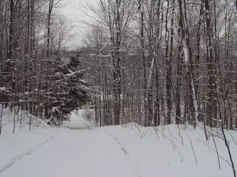 3190 Jensen Rd, Petoskey, MI 49770 photo 3